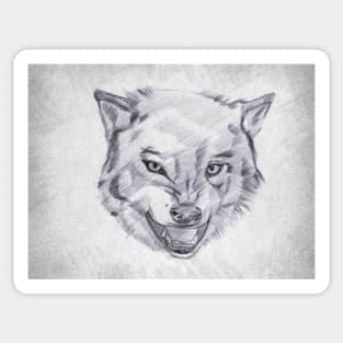 Wolf - Handmade Pencil Drawing Sticker